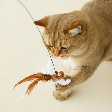 Interactive Feather Cat Toy – Feather Teaser for Cat Play & Exercise
