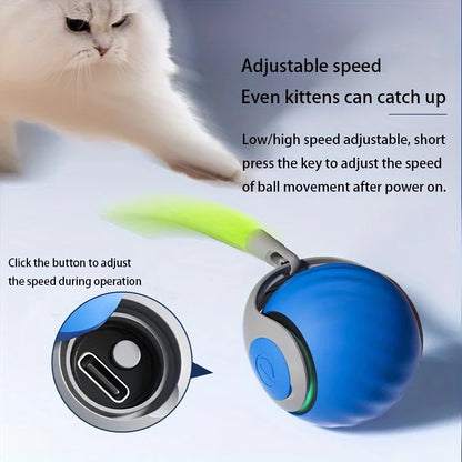 Automatic Rechargeable Cat Toy Ball — Motion-Activated Interactive Rolling Teaser with Plush Tail, USB-C