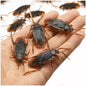 12/48pcs Halloween Simulation Bug Cockroach Spider Centipede Scorpion Plastics Prank Bug Funny Halloween DIY Decoration TMZ