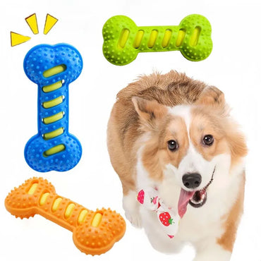 Squeaky Dog Chew Toy - Bite-Resistant Puppy Toothbrush for Teeth Cleaning & Massage, 7.5 x 3.5 in (19 x 9 cm)