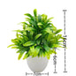 Artificial Plants with Plastic Pots for Home Decor