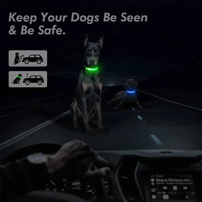 LED Pet Dog Collar for Night Safety | Bright USB Rechargeable