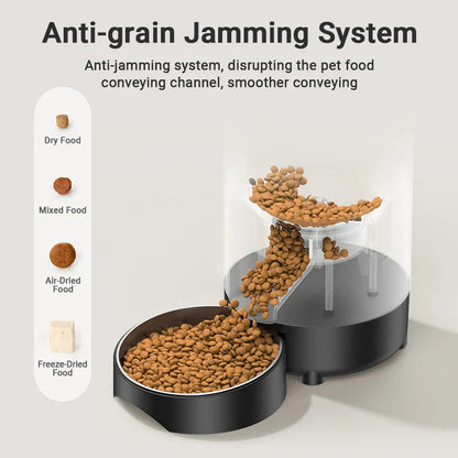 2L (67.6 fl oz) Automatic Pet Feeder – Smart Kibble Dispenser with Button Control, Programmable Auto Feeder for Cats & Small Dogs