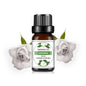 Mango Pineapple Fragrance Oil 10ml (0.34 fl oz) Natural Fruit Scent for Diffusers, Candles & Soap Making