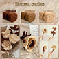Chenille Stems 30cm Pipe Cleaners - DIY Craft Supplies for Handmade Flowers & Art Projects
