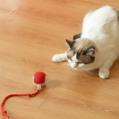 Rechargeable Self-Moving Rolling Ball Cat Toy — Interactive Indoor Toy for Kittens & Cats