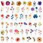 50/200PCS Transparent PET Flower Plant Material Stickers Handbooks Tablets Phone Water Cups Decor Stationary Notebook Stickers