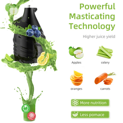 BioloMix HH-916I Cold Press Juicer with 75mm Feed Chute, 200W