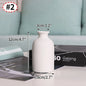 Ceramic Decorative Vase for Dried Flowers & Hydroponic Plants, Modern Table Ornament for Living Room Bedroom Office