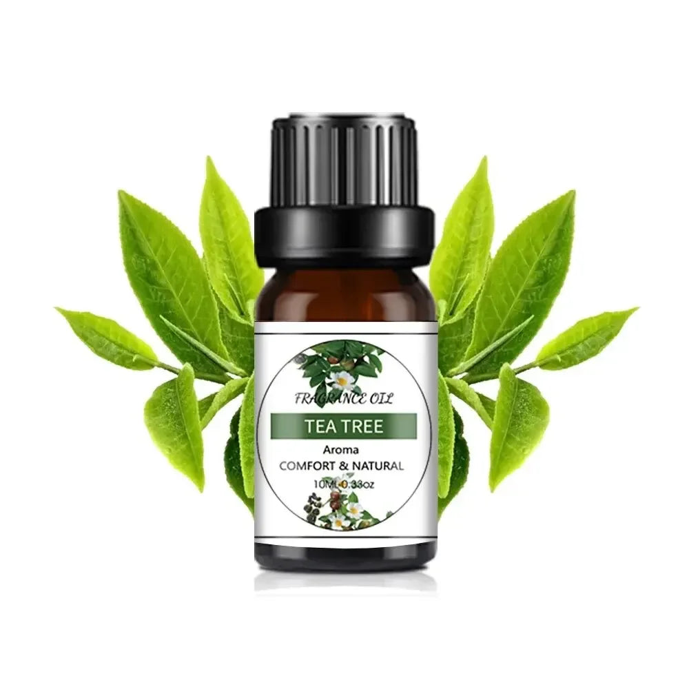 Mango Pineapple Fragrance Oil 10 mL (0.34 fl oz) – Natural Fruit Scent for Diffusers, DIY Soap & Candles