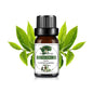 Mango Pineapple Fragrance Oil 10 mL (0.34 fl oz) – Natural Fruit Scent for Diffusers, DIY Soap & Candles