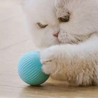 Automatic Rolling Cat Ball Toy - Interactive Self-Moving Smart Kitten Toy for Indoor Play