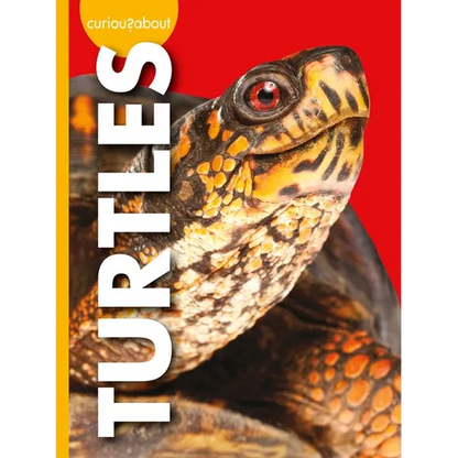 Curious about Turtles - Library Binding