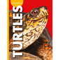 Curious about Turtles - Library Binding