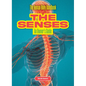 The Senses: An Owner's Guide - Library Binding