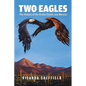 Two Eagles: The History of the United States and Mexico - Paperback