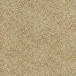 Shimmer Desert Sand Cotton 44"/45" Fabric Per Yard