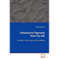 Ultramarine Pigments from Fly Ash - Paperback