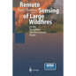 Remote Sensing of Large Wildfires: In the European Mediterranean Basin - Paperback
