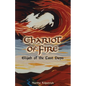 Chariot of Fire: Elijah of the Last Days - Paperback