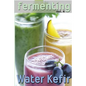 Fermenting vol. 4: Water Kefir - Paperback