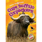Cape Buffalo and Oxpeckers - Library Binding