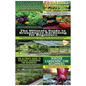 The Ultimate Guide to Companion Gardening for Beginners & Container Gardening for Beginners & the Ultimate Guide to Greenhouse Gardening for Beginners - Paperback