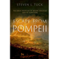 Escape from Pompeii: The Great Eruption of Mount Vesuvius and Its Survivors - Hardcover