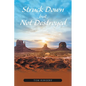 Struck Down but Not Destroyed - Paperback