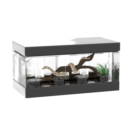 Snake Terrarium - Minifig Scale - Custom Printed - Made Using LEGO® Parts