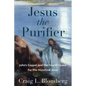 Jesus the Purifier: John's Gospel and the Fourth Quest for the Historical Jesus - Paperback