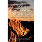God's Illuminating Blindness - Paperback