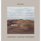 I Burn But Am Not Consumed - Hardcover