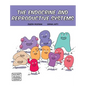 The Endocrine and Reproductive Systems - Hardcover