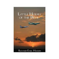 Little Horses of the Devil - Paperback