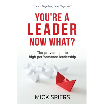 You're a leader, now what? - Paperback