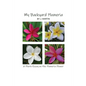 My Backyard Plumeria: A Photo Essay on the Plumeria Flower - Paperback