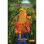 Not Your Average Fairytale: Poetry & Prose - Paperback