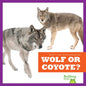 Wolf or Coyote? - Library Binding