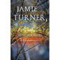 Suncatchers - Paperback