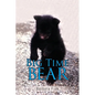 Big Time Bear - Paperback