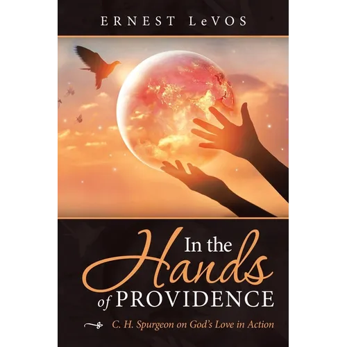 In the Hands of Providence: C. H. Spurgeon on God's Love in Action - Paperback