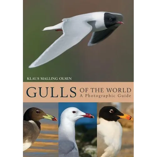 Gulls of the World: A Photographic Guide - Hardcover