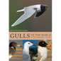 Gulls of the World: A Photographic Guide - Hardcover