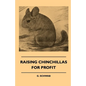 Raising Chinchillas For Profit - Paperback
