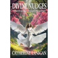 Divine Nudges - Paperback