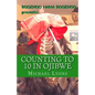Counting to 10 in Ojibwe: A Boozhoo Nana Boozhoo Book - Paperback