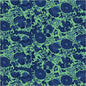 Sweet Talk Kim Sea Green Cotton 44/45 Fabric Per Yard