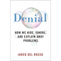 Denial: How We Hide, Ignore, and Explain Away Problems - Paperback
