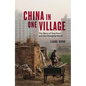 China in One Village: The Story of One Town and the Changing World - Hardcover